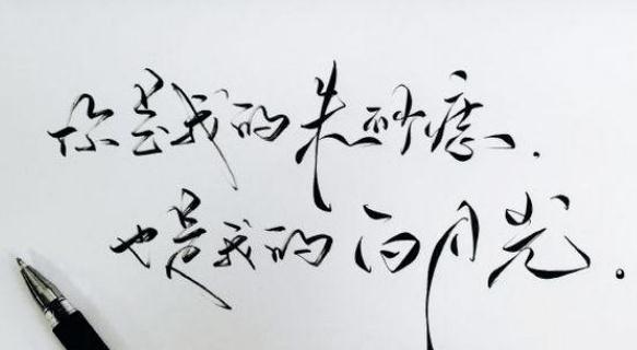 白月光与朱砂痣为什么这么火？全部歌词