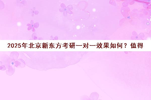 2025年北京新东方考研一对一效果如何？值得信赖吗？