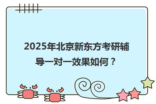 2025年北京新东方考研辅导一对一效果如何？靠谱吗？